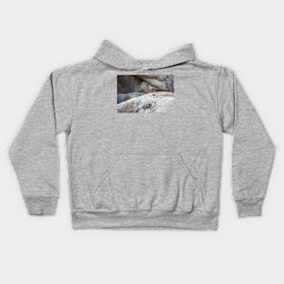 Eared Dove at Casibari Aruba Kids Hoodie